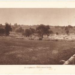 TIRAGE DE CLICHÉ TYPE GRAVURE - COMPAGNIE AÉRIENNE FRANÇAISE - LA GARRIGUE LANGUEDOCIENNE