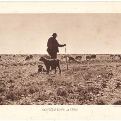 TIRAGE DE CLICHÉ TYPE GRAVURE - COMPAGNIE AÉRIENNE FRANÇAISE - MOUTONS DANS LA CRAU