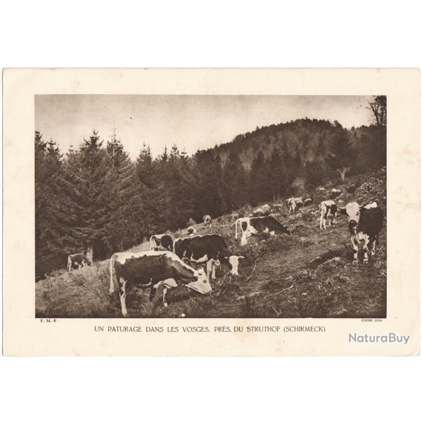 TIRAGE DE CLICH TYPE GRAVURE - COMPAGNIE ARIENNE FRANAISE - PATURAGE DES VOSGES PRS DU STRUTHOF