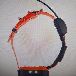 Collier supplémentaire canicom gps 2