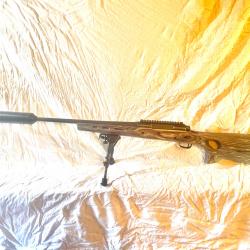 Savage axis 222 + silencieux +crosse boyd's
