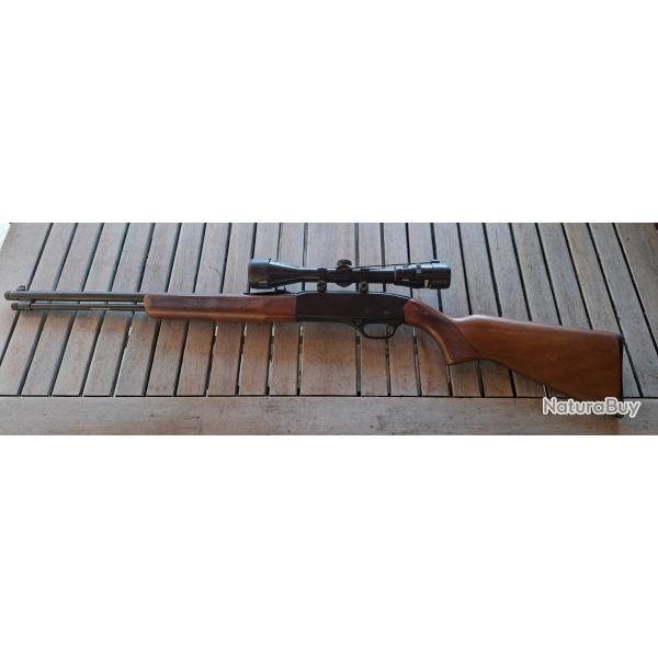 Carabine Winchester model 190 cal 22 lr avec lunette.