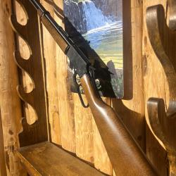 CHIAPPA MOD. LA 322 "TAKE-DOWN" 22LR