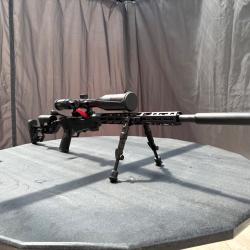 Carabine Ruger Precision Rimfire .22 LR - Excellent état + accessoires