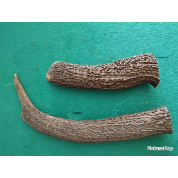 2 MORCEAUX BOIS CERF CIRCONFERENCES MEDIANES 10/11CM POUR COUTELLERIE CHIEN USAGE DIVERS