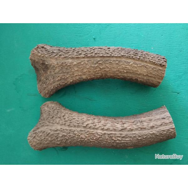 2 GROS MORCEAUX BOIS CERF CIRCONFERENCES MEDIANES 14,5CM POUR COUTELLERIE CHIEN USAGE DIVERS