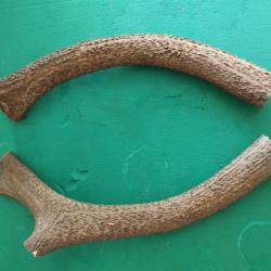 2 MORCEAUX BOIS CERF CIRCONFERENCES MEDIANES 11,5CM POUR COUTELLERIE CHIEN USAGE DIVERS