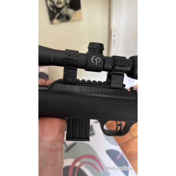 22lr