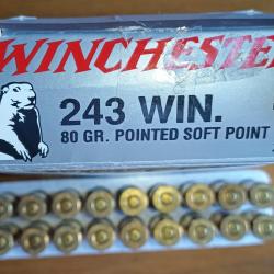 Balles (Cartouches) Winchester 243Win
