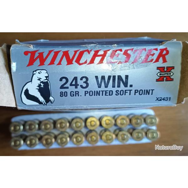 Balles (Cartouches) Winchester 243Win