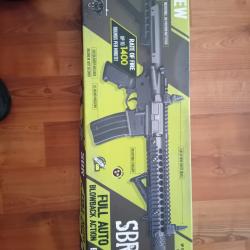 DPMS SBR