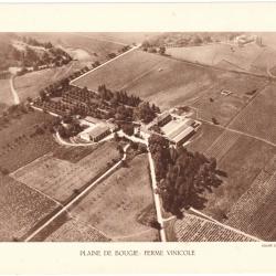 TIRAGE DE CLICHÉ TYPE GRAVURE - COMPAGNIE AÉRIENNE FRANÇAISE - PLAINE DE BOUGIE : FERME VITICOLE