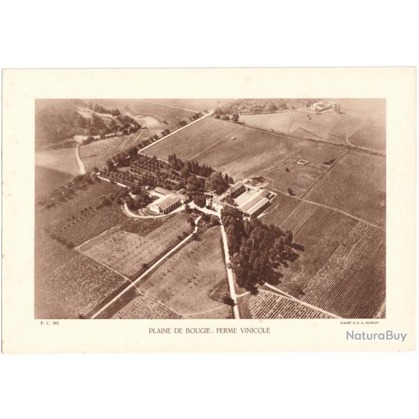 TIRAGE DE CLICH TYPE GRAVURE - COMPAGNIE ARIENNE FRANAISE - PLAINE DE BOUGIE : FERME VITICOLE