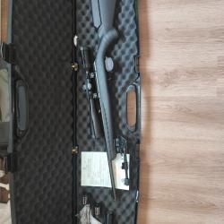 Carabine 22Lr RUGER americain Rimfire avec filetage
