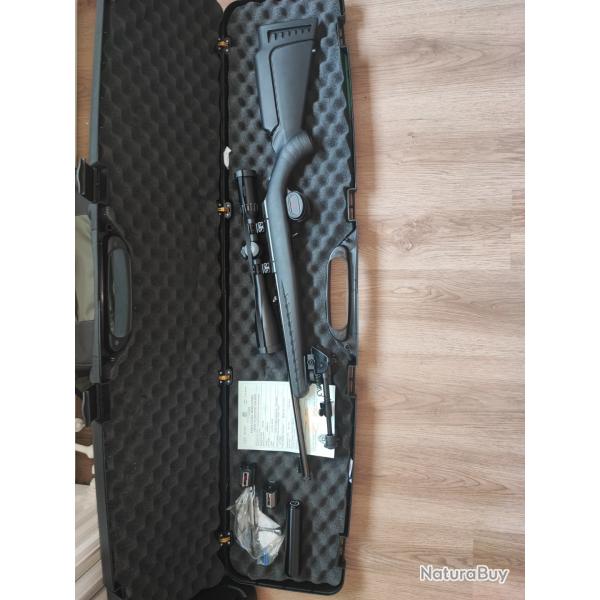 Carabine 22Lr RUGER americain Rimfire avec filetage