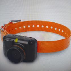 Collier supplémentaire dogtra 2600 t&b/2500 t&b/2502 t&b/ orange