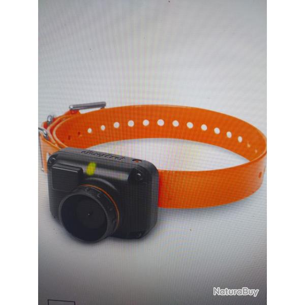 Collier supplmentaire dogtra 2600 t&b/2500 t&b/2502 t&b/ orange