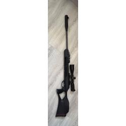 Gamo replay magnum