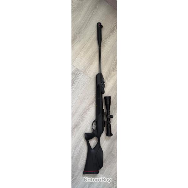 Gamo replay magnum