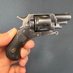 SUPERBE PUPPY calibre 22 short