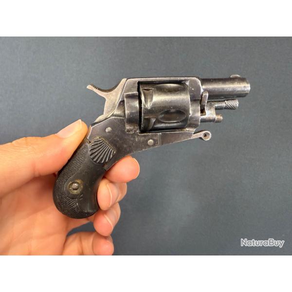 SUPERBE PUPPY calibre 22 short