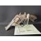 petites annonces chasse pêche : EXCELLENT REVOLVER FOREHAND calibre 32 sw long