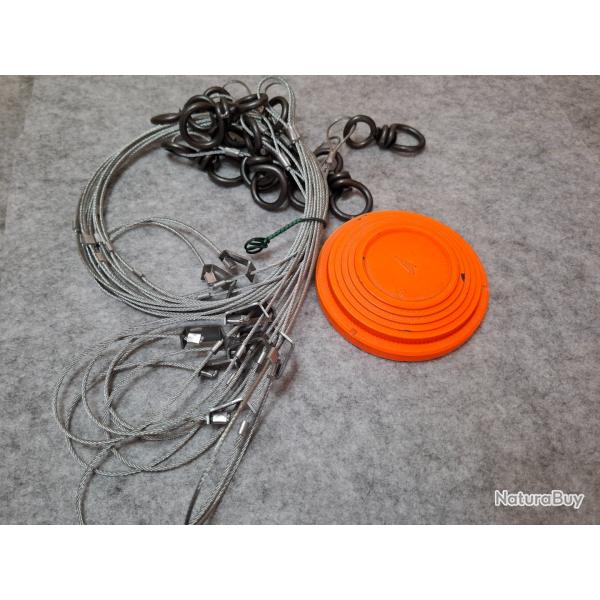 Collet  renard (10)