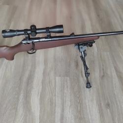 Carabine Zastava MP 22