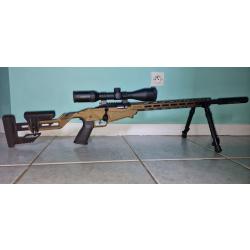Carabine Ruger Precision 22L