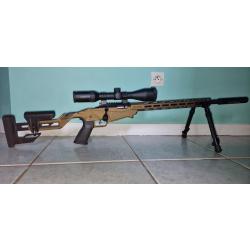 Carabine Ruger Precision 22L