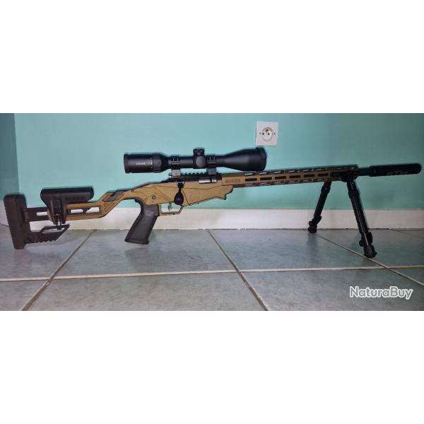 Carabine Ruger Precision 22L