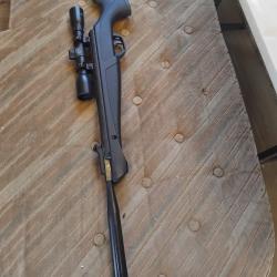 Carabine a plomb 19,9joule