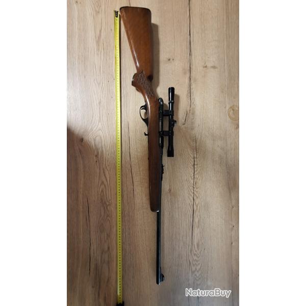 carabine 22 lr Squires Bingham kassnar