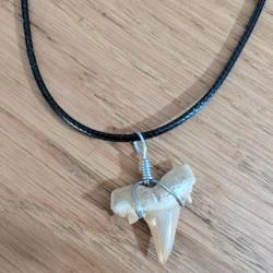 PENDENTIF DENT DE REQUIN