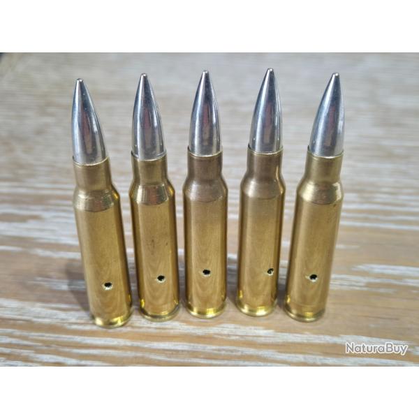 lot de 5 munitions 308 Win neutralis