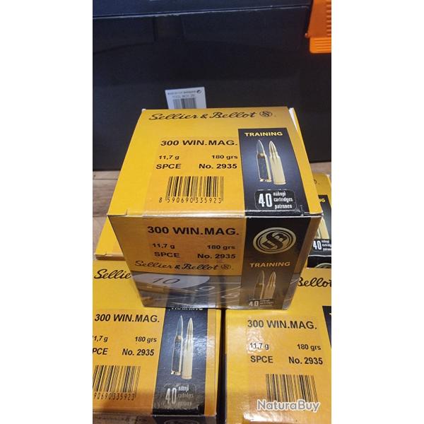 Munition Sellier & Bellot 300WinMag