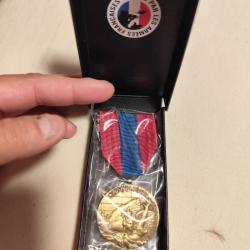 Médaille de la défense de la Nation