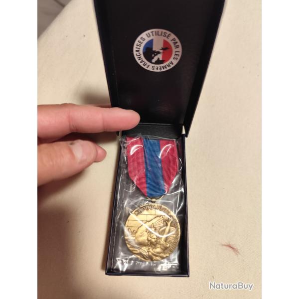 Mdaille de la dfense de la Nation