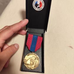 Médaille de la défense de la Nation bronze