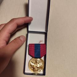 Médaille de la défense de la Nation en bronze