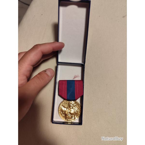 Mdaille de la dfense de la Nation en bronze
