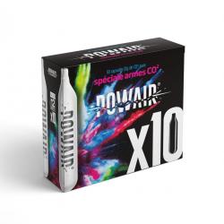 CARTOUCHES CO2 12GR X 10 "POWAIR"
