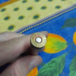munition cat c 458 win mag