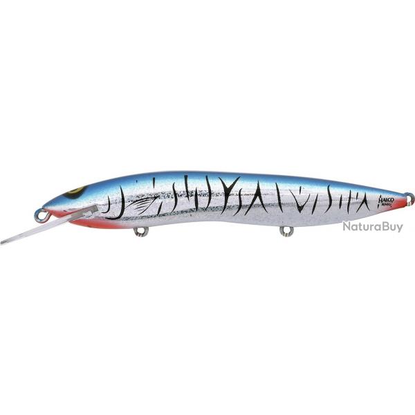 SORCERER 150 H57 BAITFISH