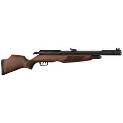 Carabine PCP Gamo RISER Punisher calibre 5.5 mm 40 Joules.