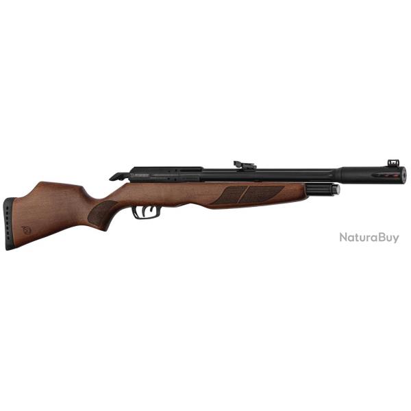 Carabine PCP Gamo RISER Punisher calibre 5.5 mm 40 Joules.