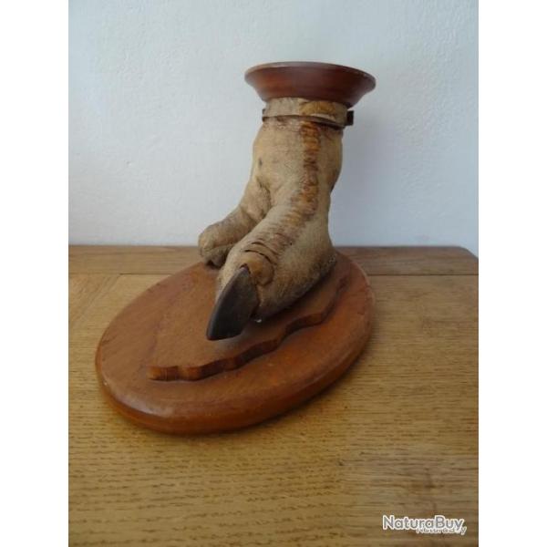 Pied d'autruche naturalis formant vide-poche