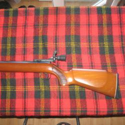 carabine Diana model 35 avec dioptre et guidon