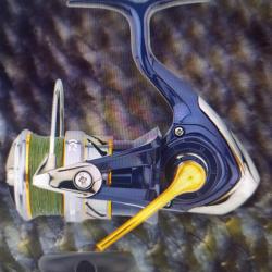 Moulinet crest DAIWA 23 lt pe t 3000 cxh