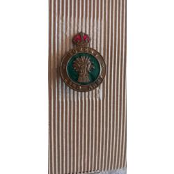 Broche Women Land Army